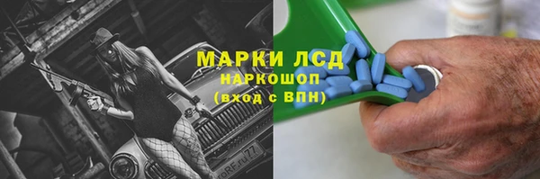 ПСИЛОЦИБИНОВЫЕ ГРИБЫ Армянск