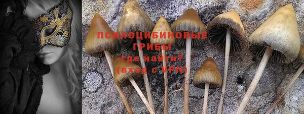 не бодяженный Аркадак