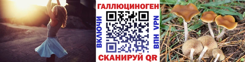 Псилоцибиновые грибы мицелий  Мурино 